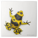 Recherche de bourdon carreaux Nature