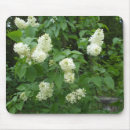 Recherche de buisson tapis souris Fleurs