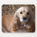 Recherche de chiot cocker tapis souris Animal