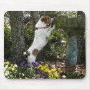 Recherche de manipulation tapis souris Photographie