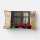 Recherche de poterie coussins Décoration