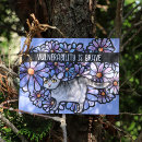 Recherche de chats gris cartes postales Floral