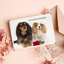 Recherche de cavalier king charles spaniel vœux cartes Drôle