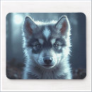 Recherche de loup tapis souris Faune