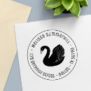 Recherche de black swan Oiseau