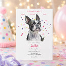 Recherche de terrier invitations Animaux de compagnie
