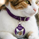 Recherche de silhouette animale Cats