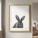 Recherche de lapin blanc posters Impression