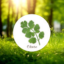 Recherche de herbes et épices autocollants Pour tous