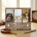 Recherche de chiot plaques Amoureux des chiens