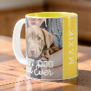 Recherche de de animal tasses Pour lui