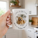 Recherche de golden retrievers tasses Pour tous