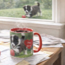 Recherche de border collie tasses Mignon