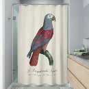 Recherche de perroquet rideaux douche Oiseau