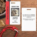 Recherche de service bureau fournitures Animal de soutien émotionnel