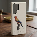 Recherche de perruches coques Perroquet