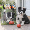 Recherche de chien de border collie sacs Animal