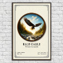 Recherche de oiseaux proie posters Rapace