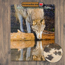 Recherche de loups puzzles Faune