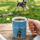 Recherche de schnauzers Pour elle