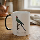 Recherche de perroquet bleu tasses Perroquets