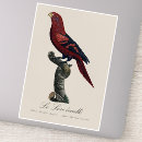 Recherche de perroquet rouge autocollants Perroquets