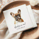Recherche de bouledogues français serviettes Pour eux