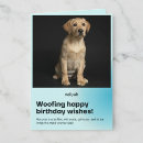 Recherche de laboratoire vœux cartes D'anniversaire de chien