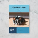 Recherche de chien taureau vœux cartes D'anniversaire