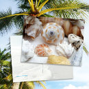 Recherche de pattes de chat cartes postales Toute personne