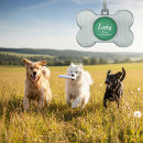 Recherche de com maison deco Dogs
