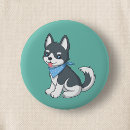 Recherche de husky badges Chiot