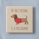 Recherche de chien de saucisse badges Chiot