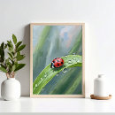 Recherche de de coccinelle posters Pour tous