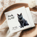 Recherche de chat mariages Boissons sur moi