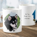 Recherche de chats géniaux tasses Toute personne