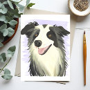 Recherche de chien de border collie cartes postales Colley