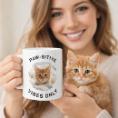 Recherche de pattes classiques tasses Chat