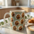 Recherche de sauge tasses Pour tous