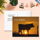 Recherche de vaches mignonnes cartes postales Ferme