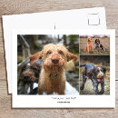 Recherche de citations famille cartes postales Pour tous