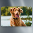 Recherche de image refrigérateur magnets Do it yourself