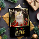 Recherche de chat minou vœux cartes Chaton