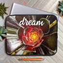 Recherche de planner coques Photographie