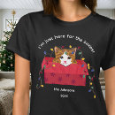 Recherche de chat dans une boîte tshirts Pour tous