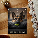 Recherche de berger vœux cartes Chien