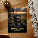 Recherche de labrador retriever vœux cartes Canin