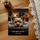 Recherche de yorkshire terrier vœux cartes Chien