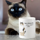 Recherche de chat de calicot Toute personne