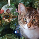 Recherche de de chat siamois ornements Vacances